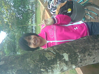 Hnh nh015